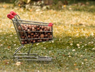 At the end of the day, going forward