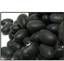Organic BLACK TURTLE BEANS
