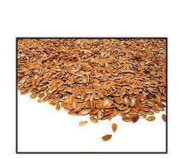 Organic BROWN FLAX SEED