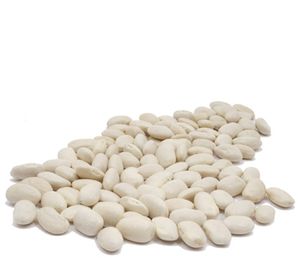 Organic CANNELLINI BEANS