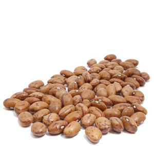 Organic CRANBERRY BEANS