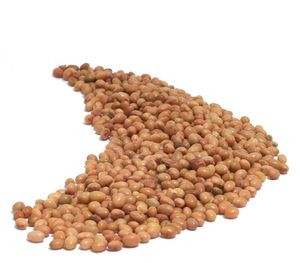 Organic CRIMSON CLOVER SEED