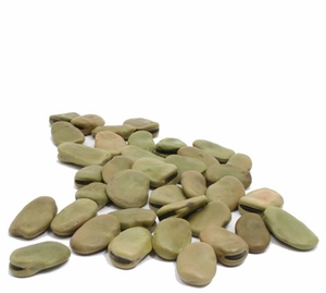 Organic FAVA BEANS