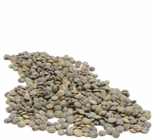 Organic FRENCH GREEN LENTILS