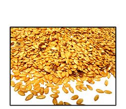 Organic GOLDEN FLAX SEED