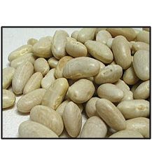 Organic GREAT NORTHERN BEANS