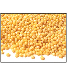 Organic HULLED MILLET