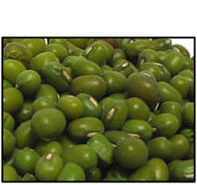 Organic MUNG BEANS
