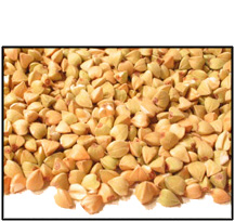 Organic RAW BUCKWHEAT GROATS