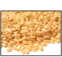 organic-short-grain-brown-rice