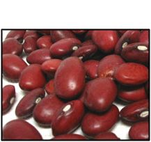 Organic SMALL RED (CHILE) BEANS