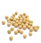Organic SOY BEANS