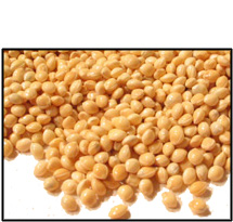 Organic SPROUTING MILLET (with hull)