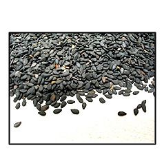 Organic UNHULLED BLACK SESAME SEEDS