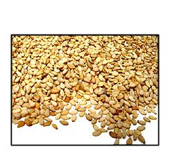 Organic UNHULLED SESAME SEEDS