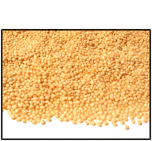 Organic WHOLE GRAIN AMARANTH