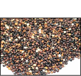 organic-whole-grain-black-quinoa
