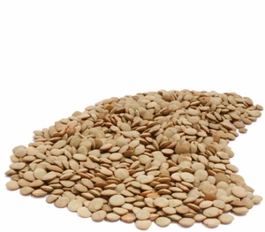 Organic WHOLE RED LENTILS with skin