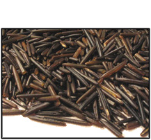 organic-wild-rice